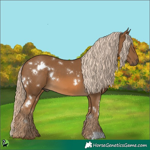 Horse Color:White Spotted Chocolate Palomino 
