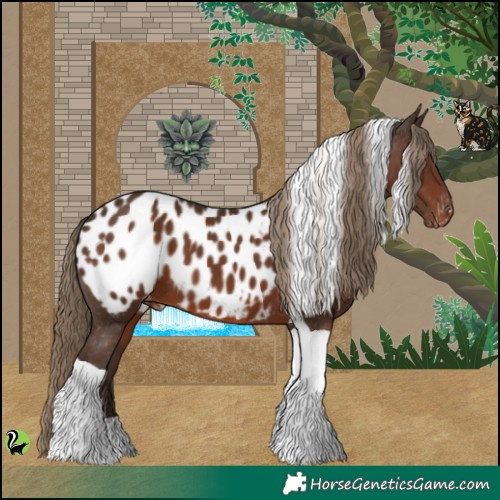 Horse Color:Liver Chestnut Tobiano Appaloosa 