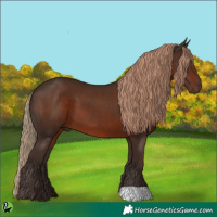 Horse Color:Liver Chestnut
