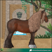 Horse Color:Liver Chestnut 
