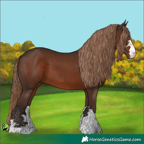 Horse Color:Liver Chestnut 