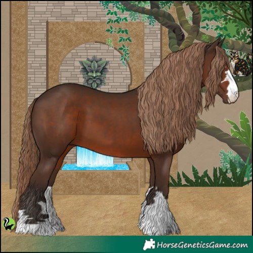 Horse Color:Liver Chestnut 
