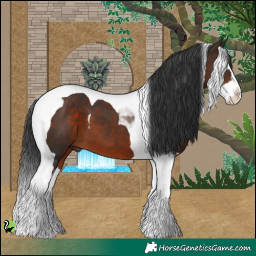 Horse Color:Brown Splash Tobiano 