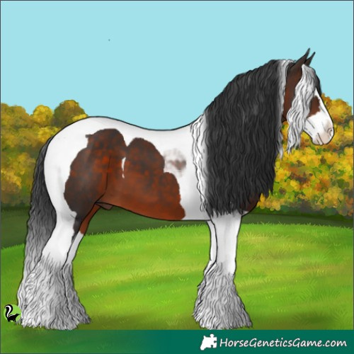 Horse Color:Brown Splash Tobiano 