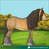 Horse Color:Sable Cream Champagne 