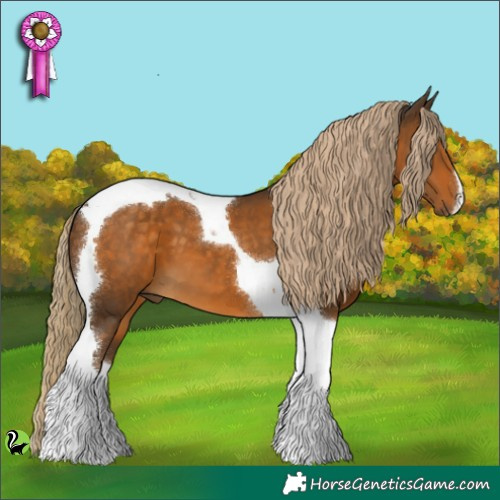 Horse Color:Chocolate Palomino Tobiano 