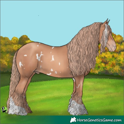 Horse Color:White Spotted Gold Champagne Tobiano 