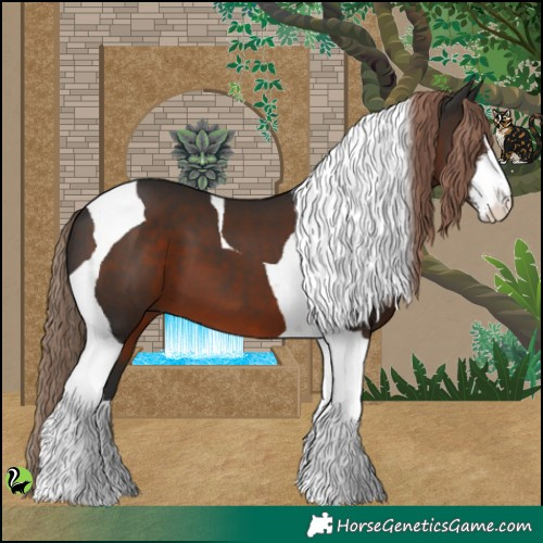 Horse Color:White Spotted Liver Chestnut Tobiano 