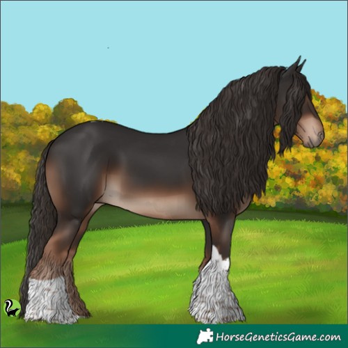 Horse Color:Liver Chestnut Tobiano 