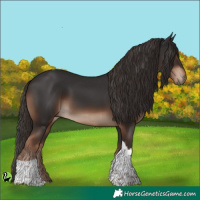 Horse Color:Liver Chestnut Tobiano 