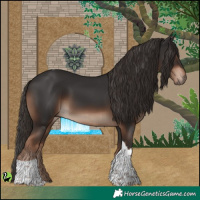 Horse Color:Liver Chestnut Tobiano 