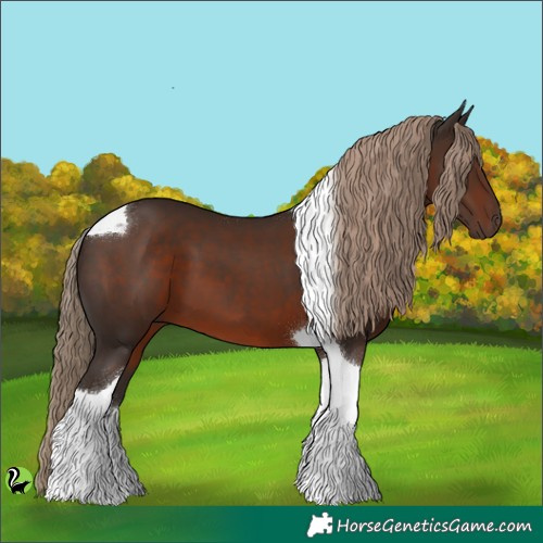 Horse Color:Liver Chestnut Tobiano 