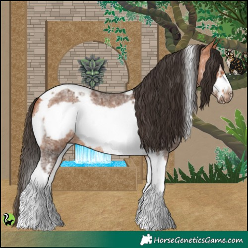 Horse Color:Bay Sabino Tobiano Frame 