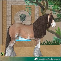Horse Color:White Spotted Sable Champagne 
