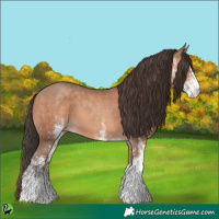 Horse Color:White Spotted Sable Champagne 
