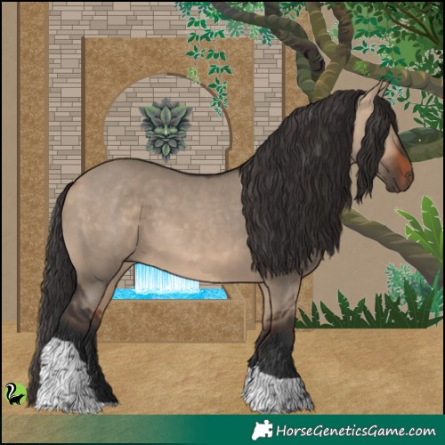 Horse Color:Brown Dun Tobiano 