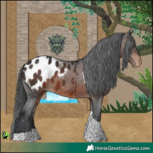 Horse Color:Brown Tobiano Blanket 