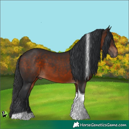 Horse Color:Brown Tobiano 
