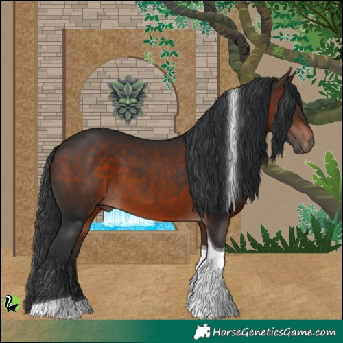 Horse Color:Brown Tobiano 