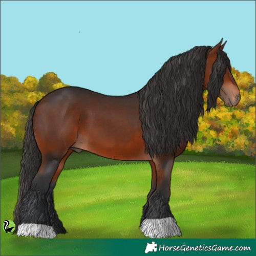 Horse Color:Brown 