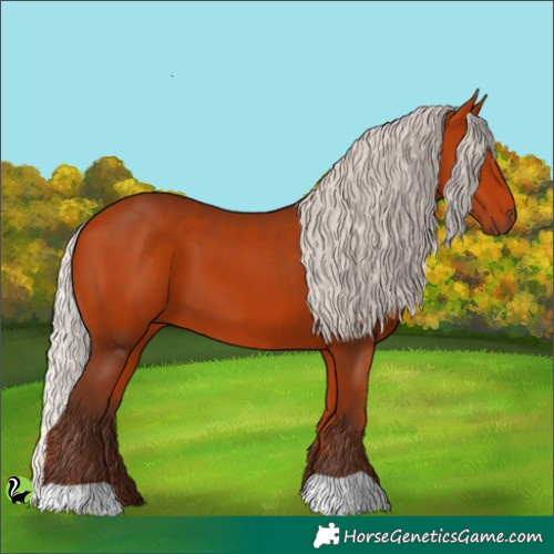 Horse Color:Silver Bay 