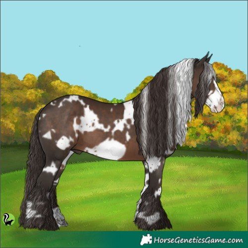 Horse Color:White Spotted Liver Chestnut Frame 