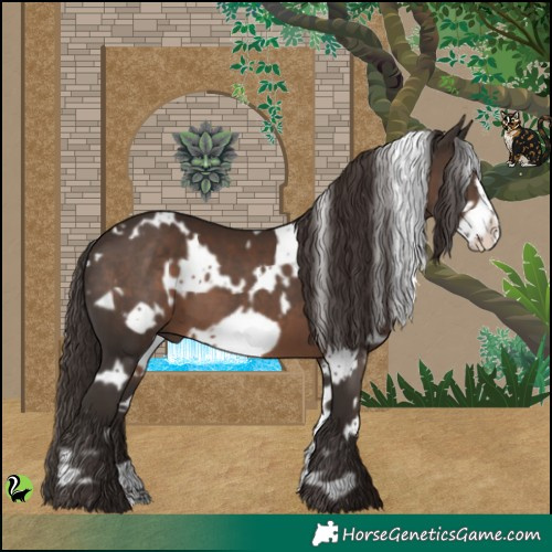 Horse Color:White Spotted Liver Chestnut Frame 
