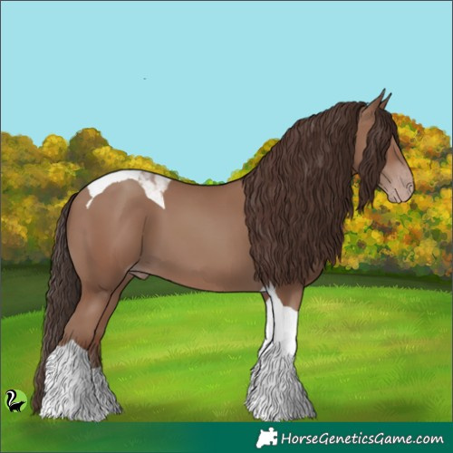 Horse Color:Classic Champagne Tobiano 