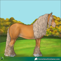 Horse Color:Gold Cream Champagne 