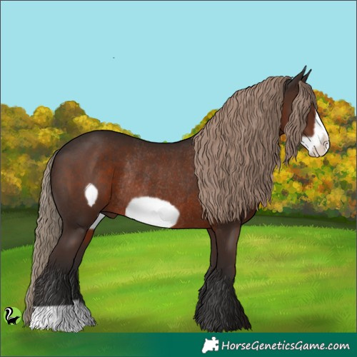 Horse Color:Liver Chestnut Frame Rabicano 