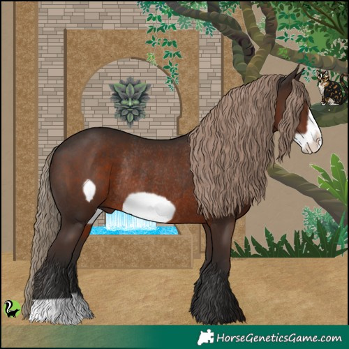 Horse Color:Liver Chestnut Frame Rabicano 