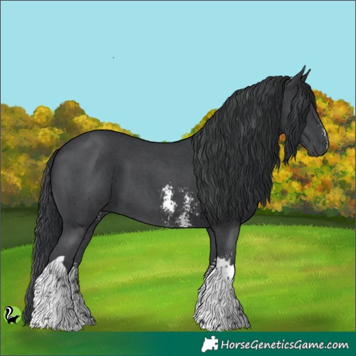 Horse Color:Black Sabino Tobiano 