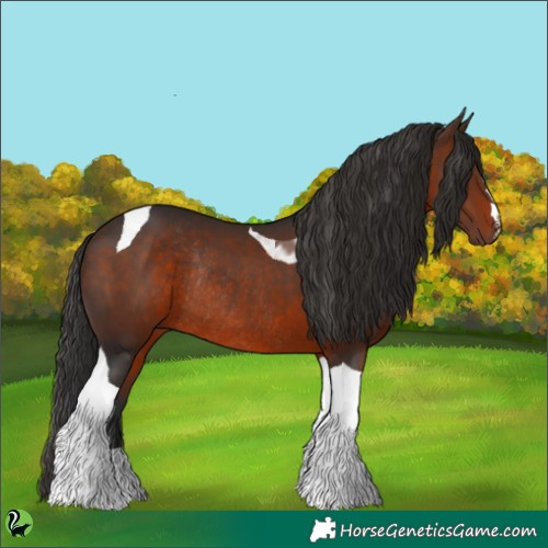Horse Color:Brown Tobiano Rabicano 