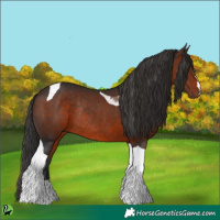 Horse Color:Brown Tobiano Rabicano 