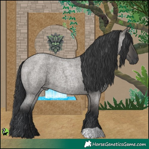 Horse Color:Grullo Roan 