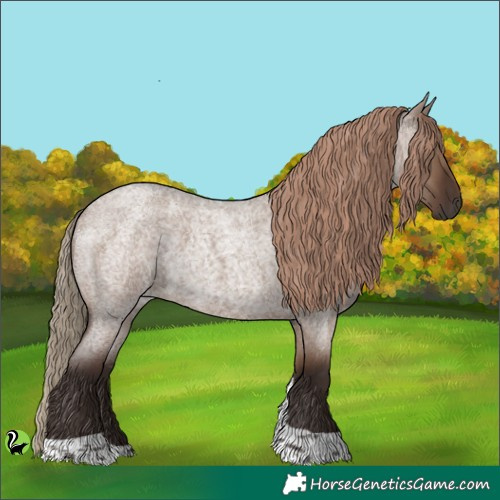 Horse Color:Liver Red Dun Roan Tobiano 