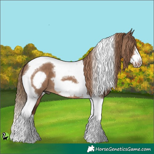 Horse Color:Liver Red Dun Tobiano Frame 