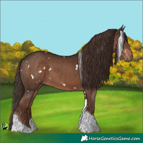 Horse Color:White Spotted Liver Chestnut Tobiano 