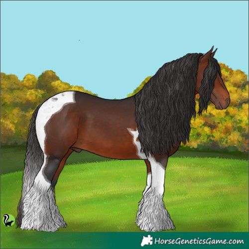 Horse Color:Brown Tobiano 