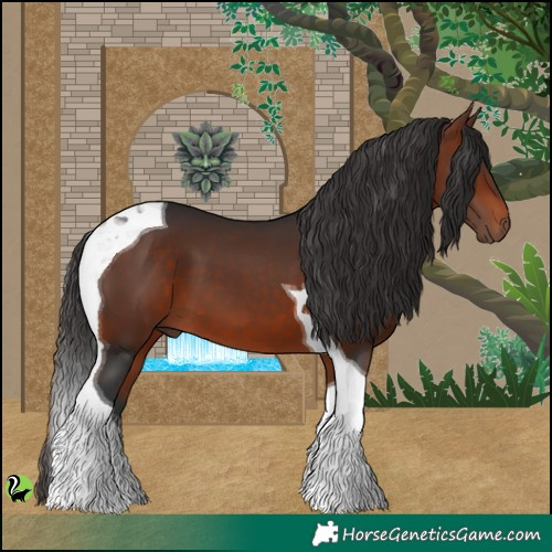 Horse Color:Brown Tobiano 
