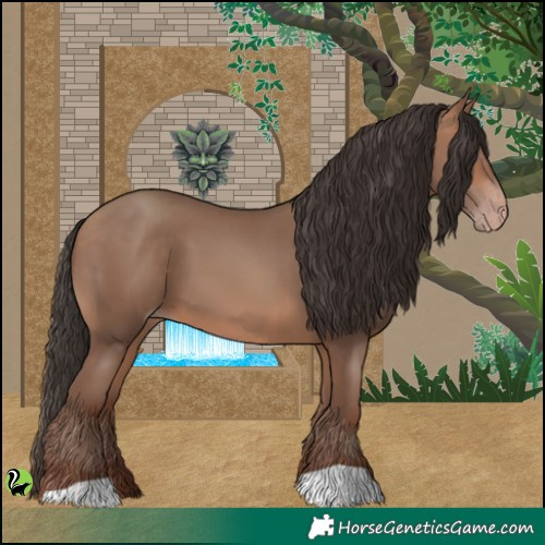 Horse Color:Sable Champagne 