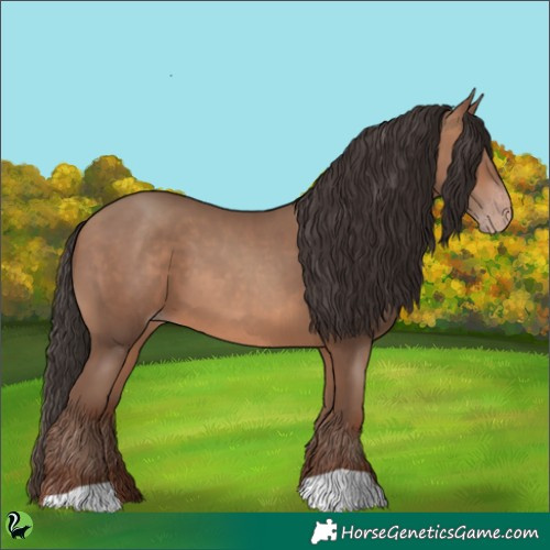 Horse Color:Sable Champagne 