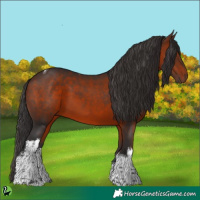 Horse Color:White Spotted Bay Tobiano 