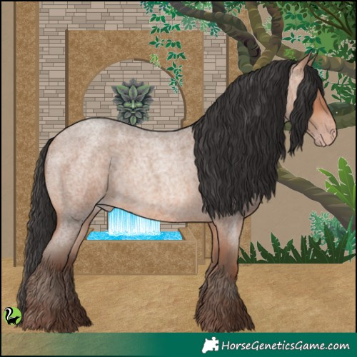 Horse Color:Sable Champagne Roan 