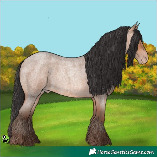 Horse Color:Sable Champagne Roan 