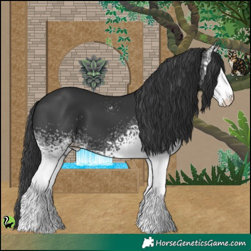Horse Color:White Spotted Black 