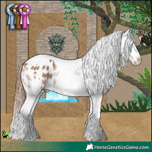 Horse Color:White Spotted Bay Dun Tobiano Appaloosa 