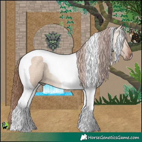 Horse Color:Red Dun Roan Tobiano 