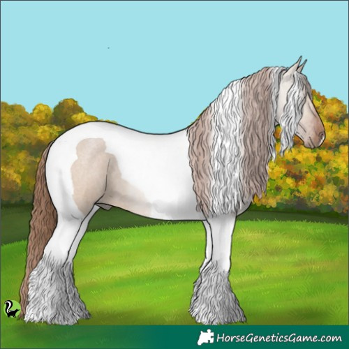 Horse Color:Red Dun Roan Tobiano 