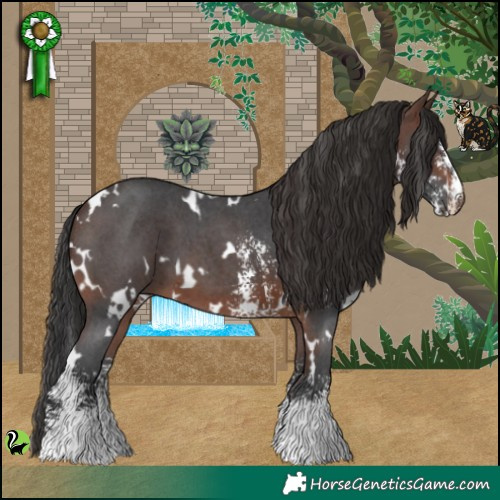 Horse Color:White Spotted Brown Sabino 